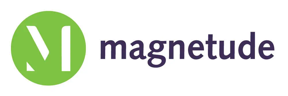 Magnetude Consulting
