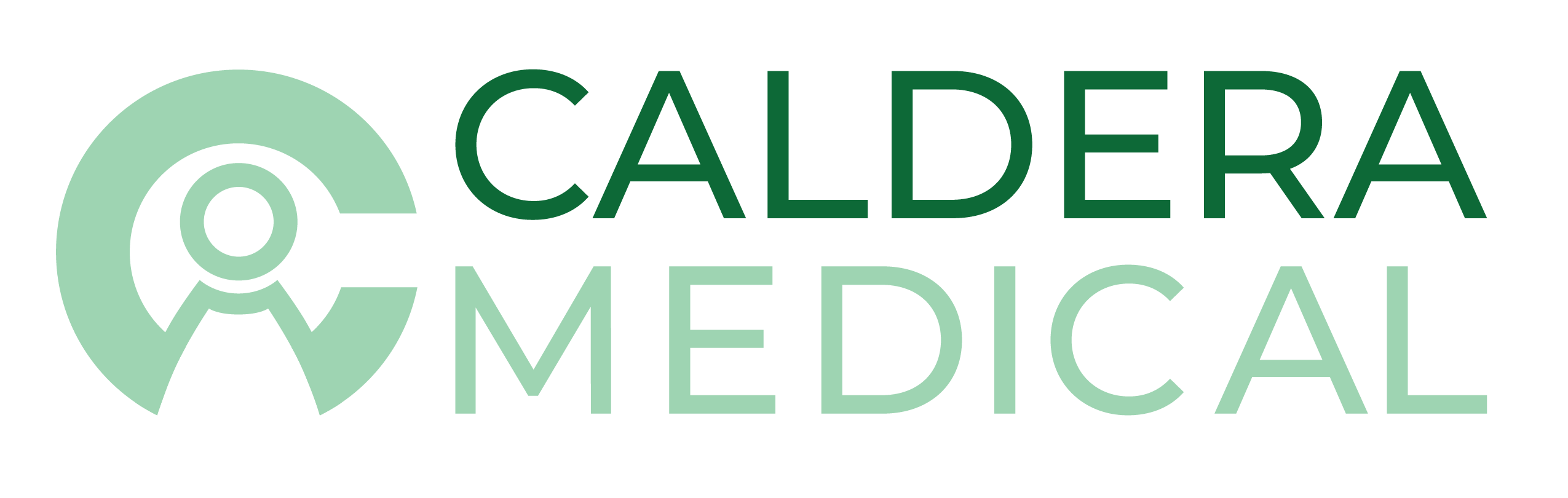 Caldera Medical